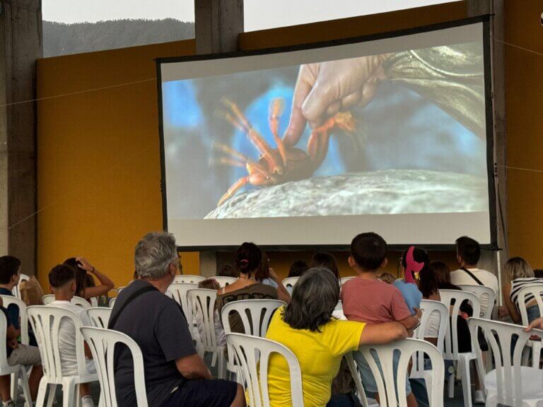 El Paso extiende la dinamización de actividades a los barrios durante las Fiestas de la Bajada de la Virgen del Pino